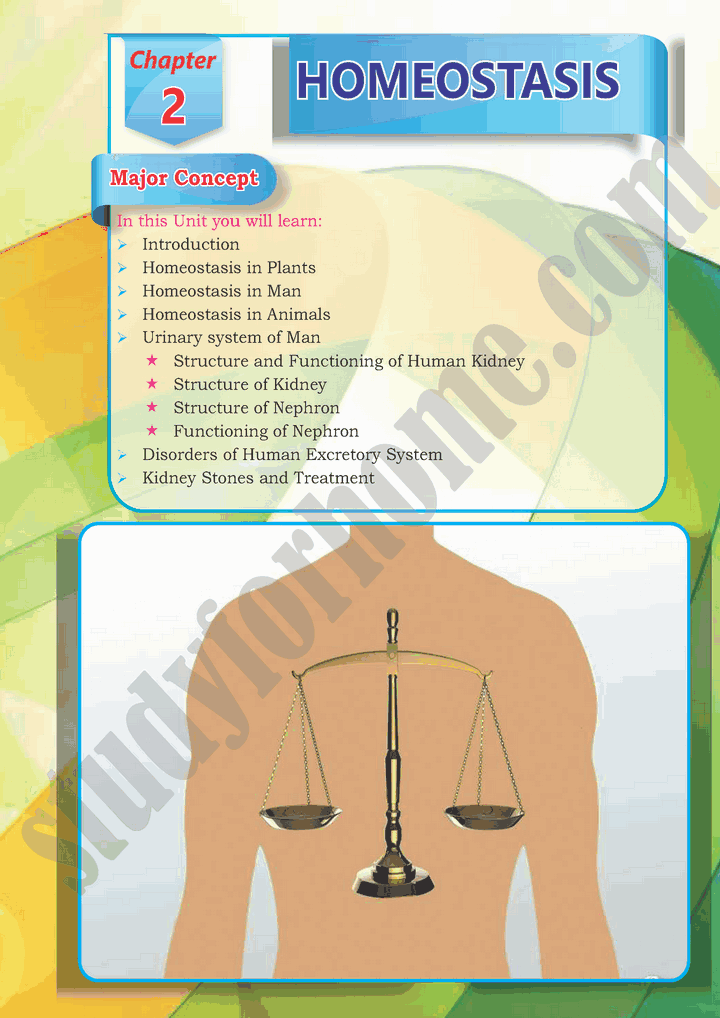 Homeostasis Chapter 2 Biology 10th Text Book