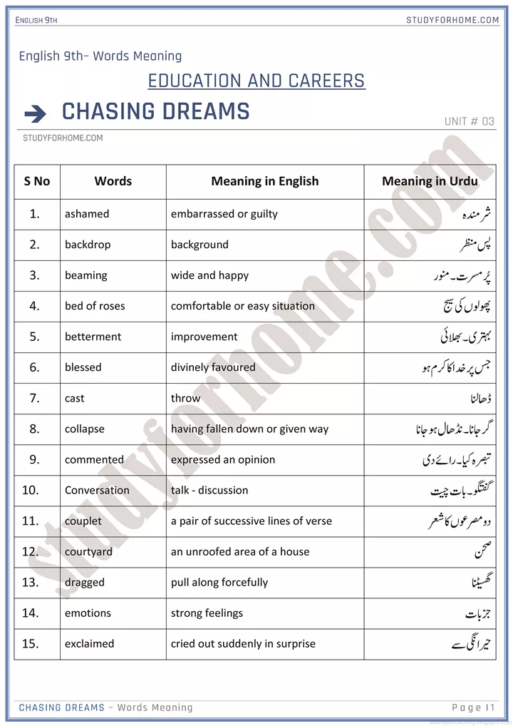 education and careers words meaning chapter summary english 9th 1