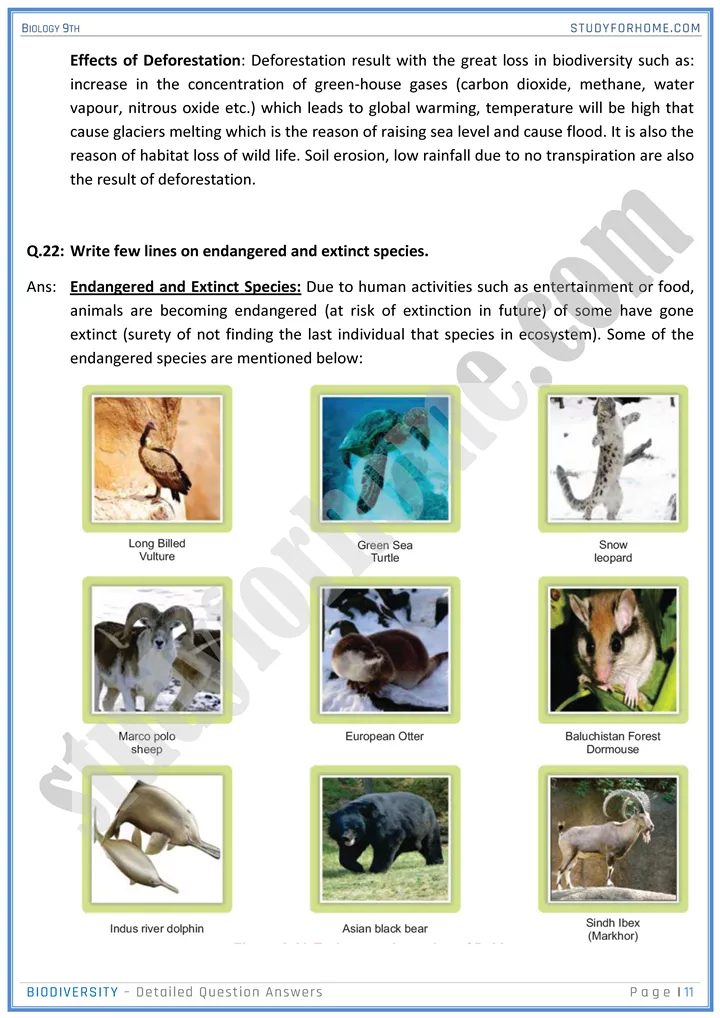 biodiversity detailed question answers biology 9th 11