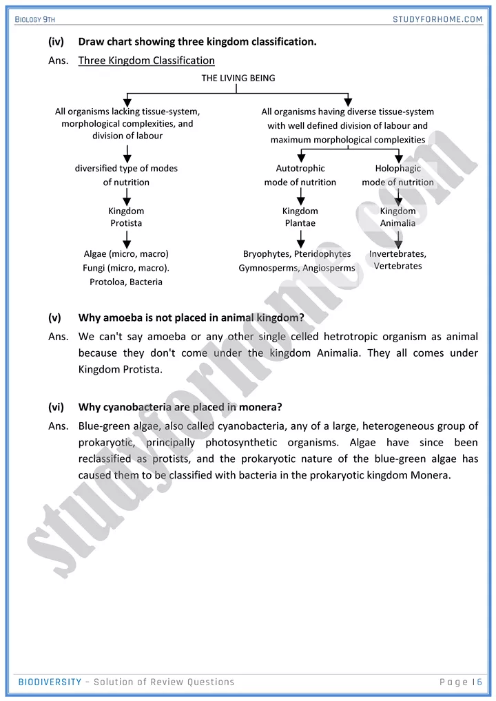 biodiversity solution of review questions biology 9th 6