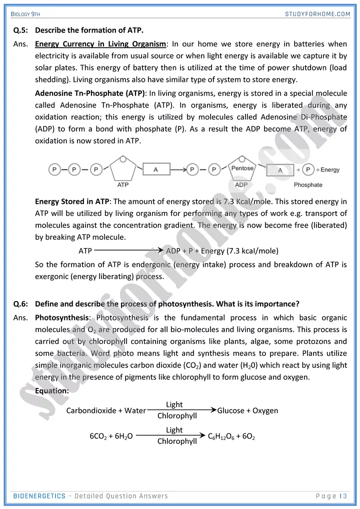 bioenergetics detailed question answers biology 9th 03