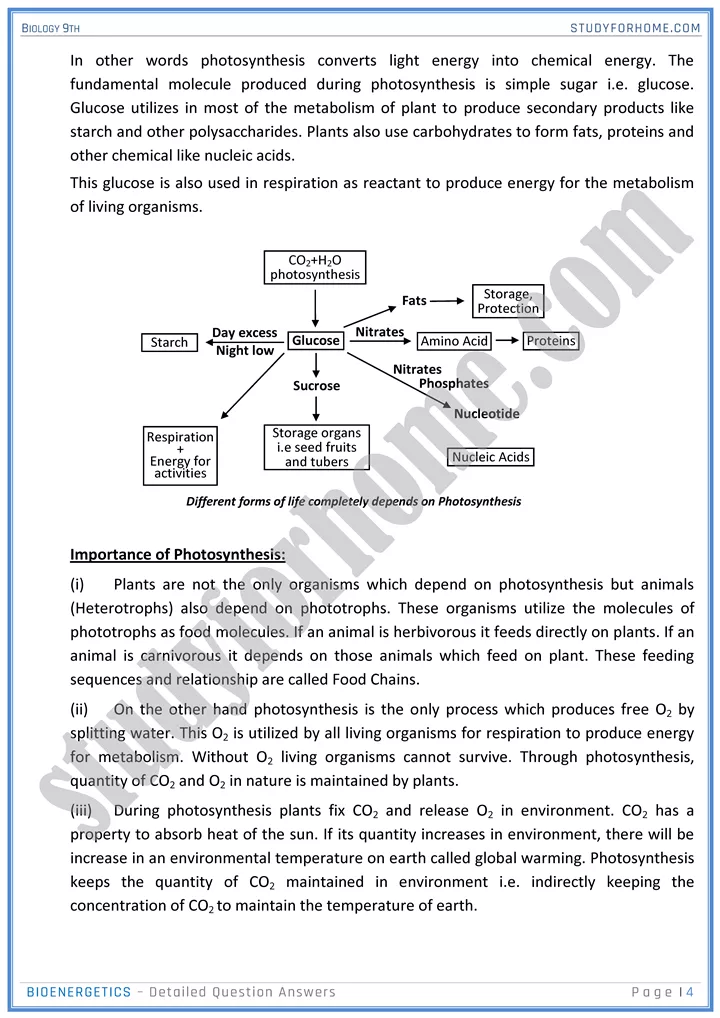 bioenergetics detailed question answers biology 9th 04