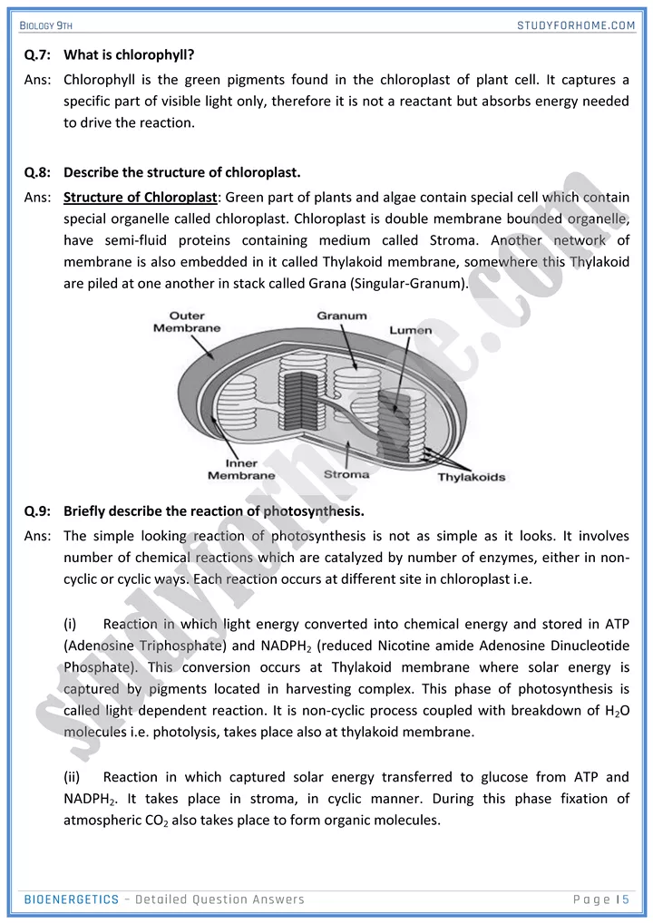 bioenergetics detailed question answers biology 9th 05