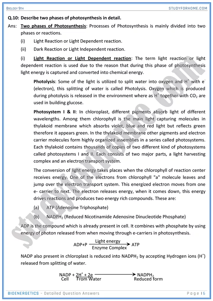 bioenergetics detailed question answers biology 9th 06