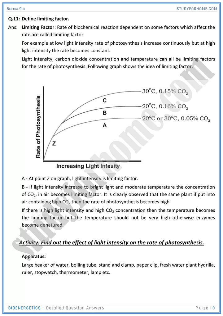 bioenergetics detailed question answers biology 9th 08