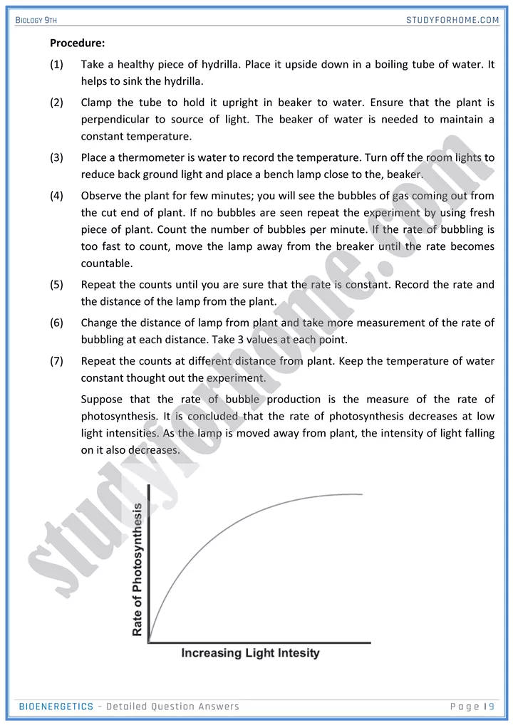 bioenergetics detailed question answers biology 9th 09