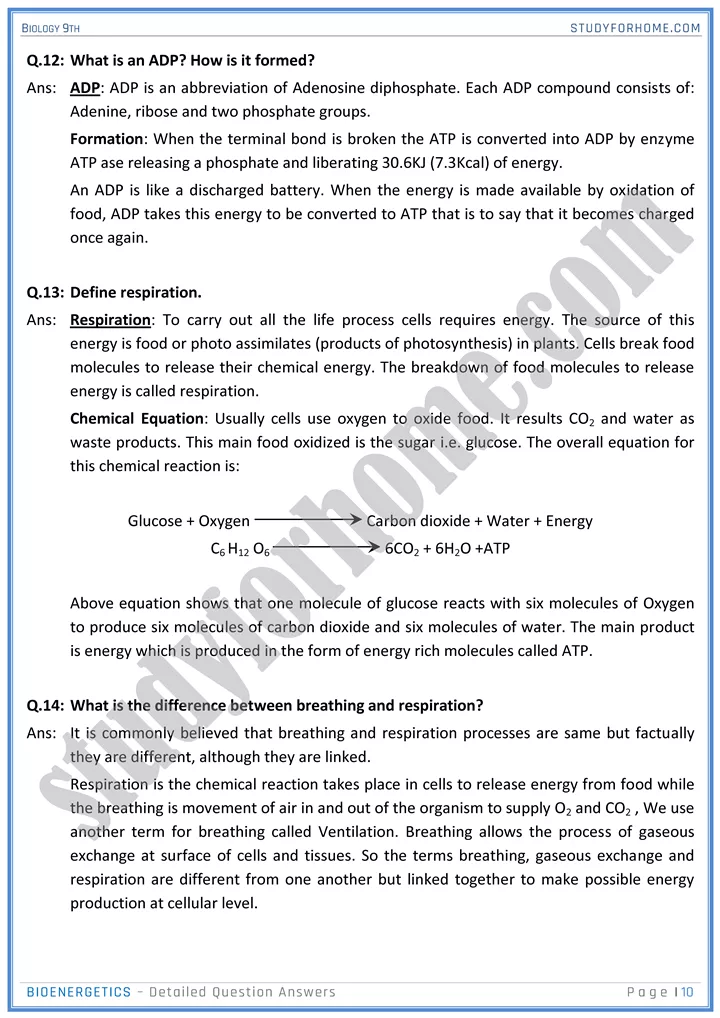 bioenergetics detailed question answers biology 9th 10