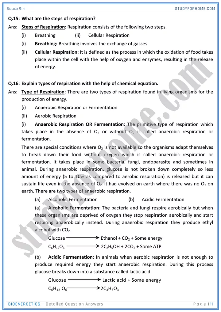 bioenergetics detailed question answers biology 9th 11