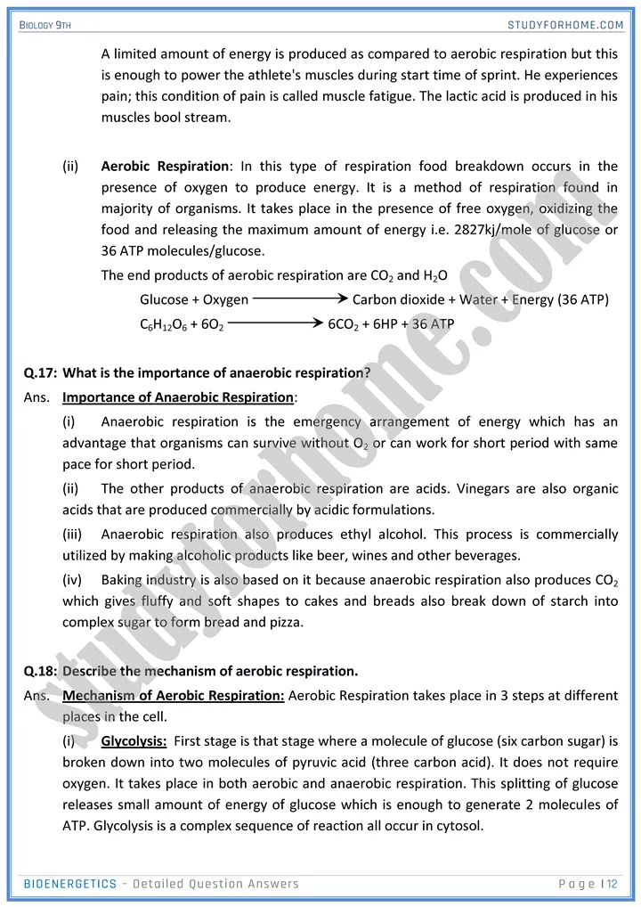 bioenergetics detailed question answers biology 9th 12