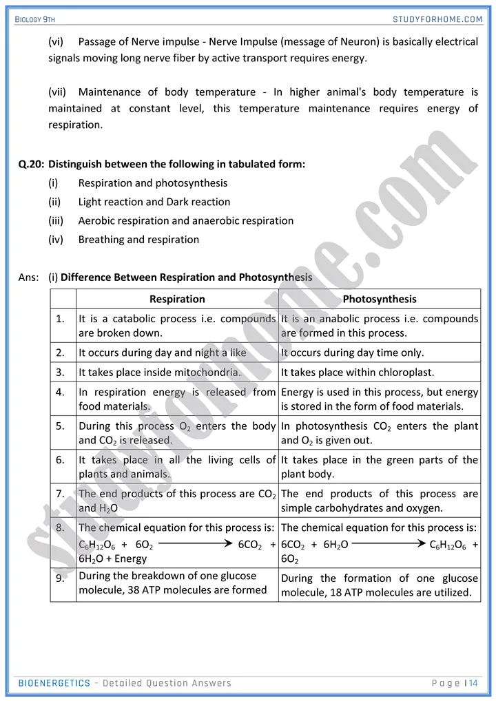 bioenergetics detailed question answers biology 9th 14