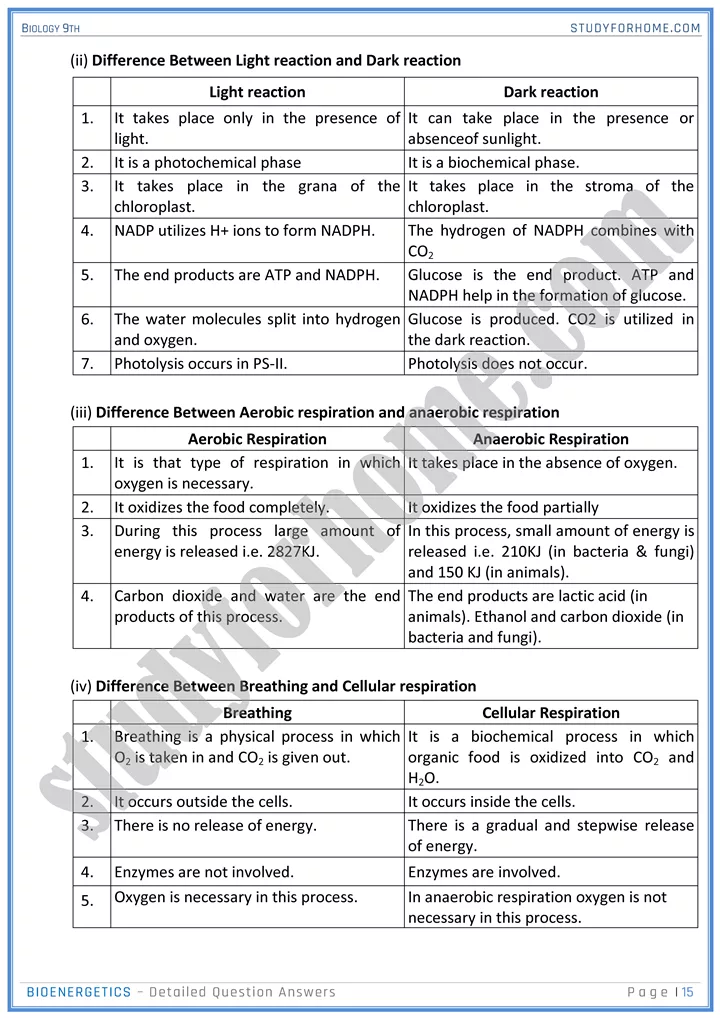 bioenergetics detailed question answers biology 9th 15