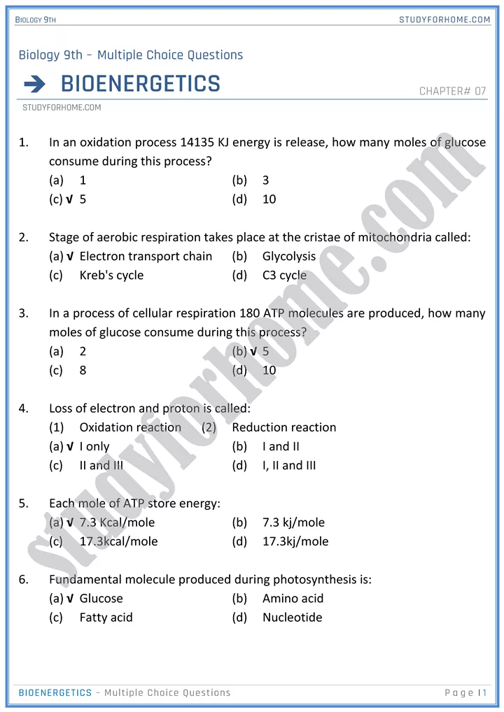 bioenergetics mcqs biology 9th 1