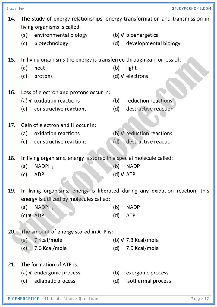 bioenergetics mcqs biology 9th 3