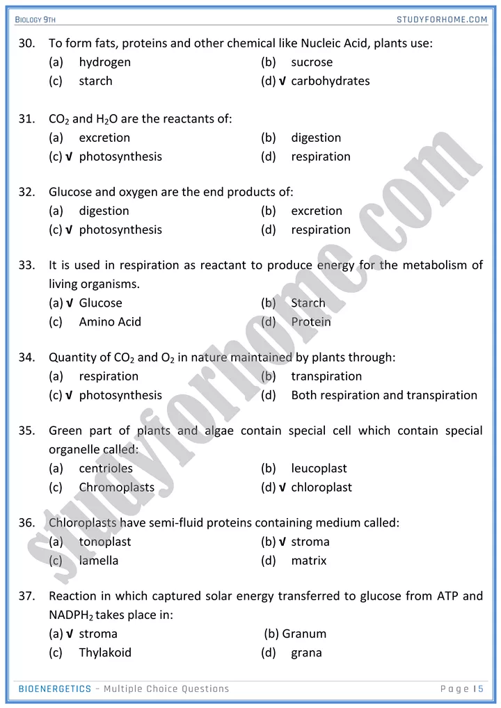 bioenergetics mcqs biology 9th 5