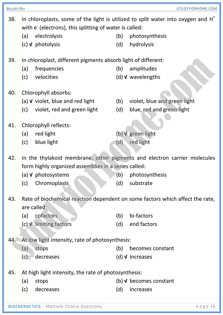 bioenergetics mcqs biology 9th 6