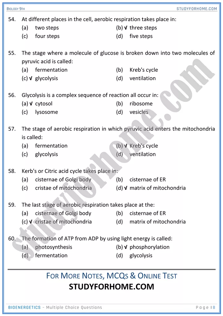 bioenergetics mcqs biology 9th 8