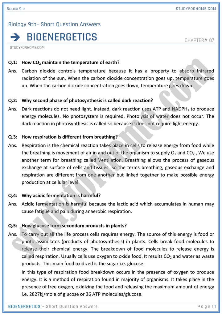 bioenergetics short question answers biology 9th 1