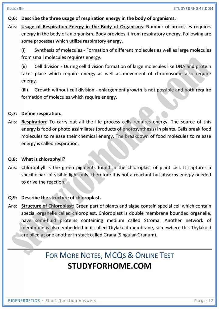 bioenergetics short question answers biology 9th 2