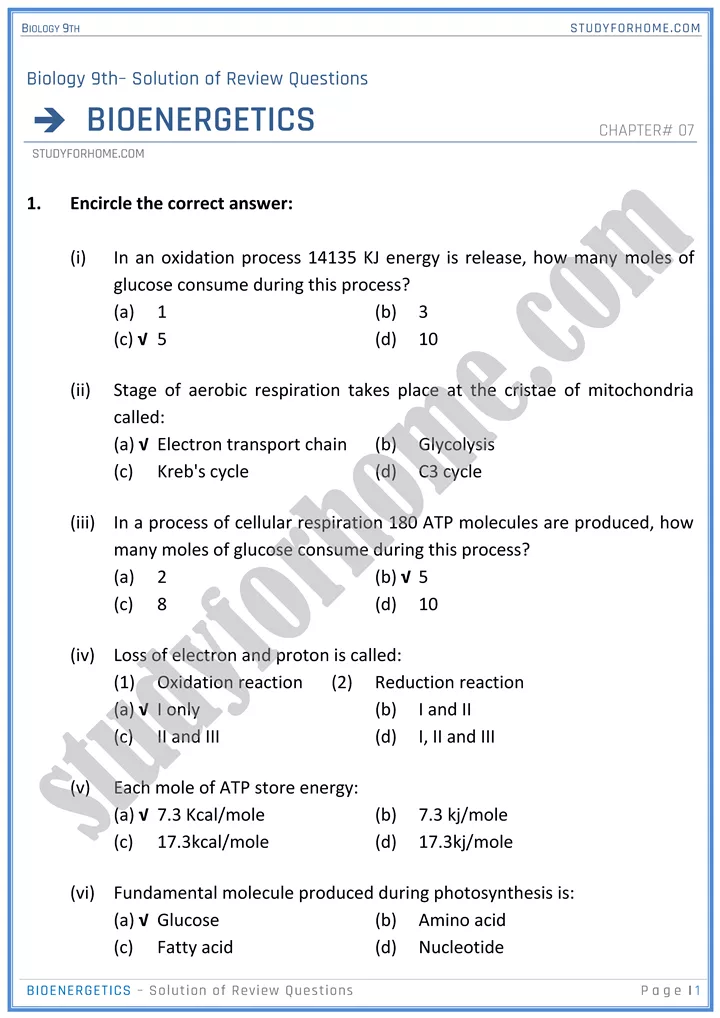 bioenergetics solution of review questions biology 9th 01