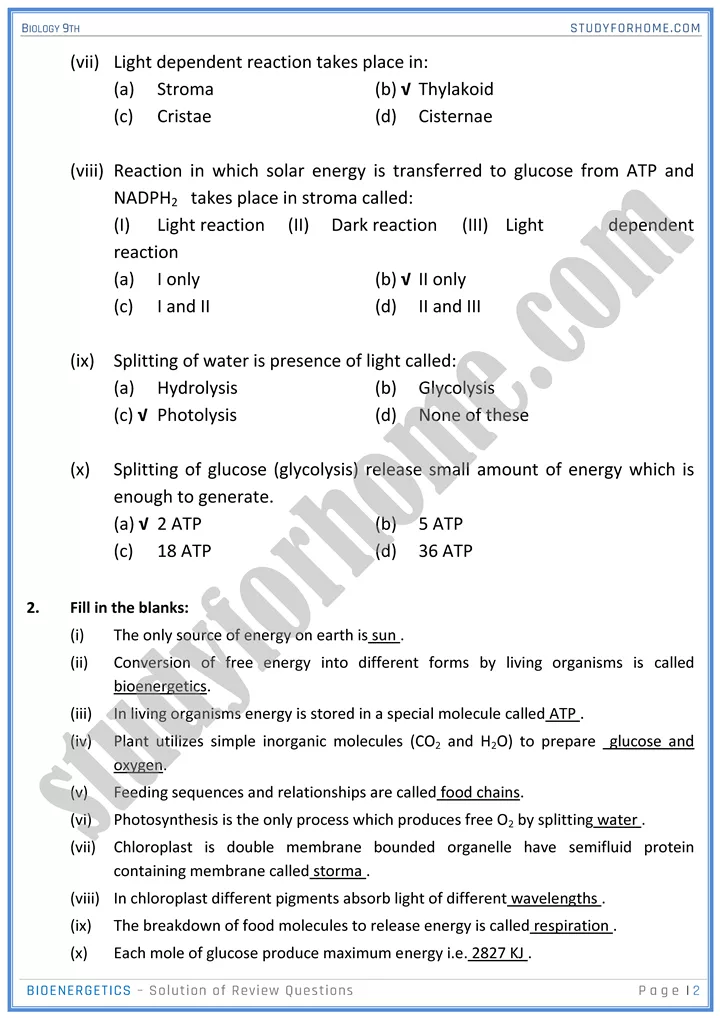 bioenergetics solution of review questions biology 9th 02