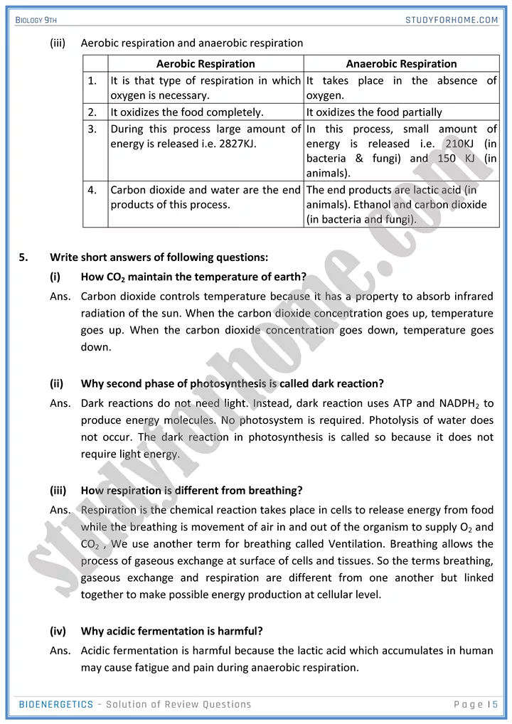 bioenergetics solution of review questions biology 9th 05