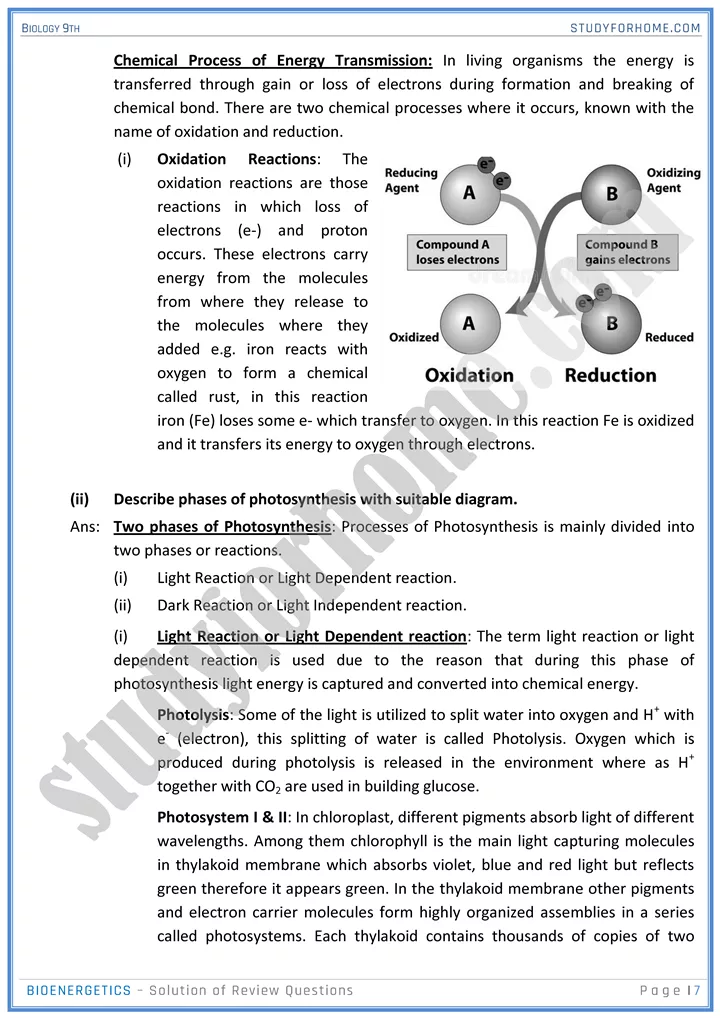 bioenergetics solution of review questions biology 9th 07