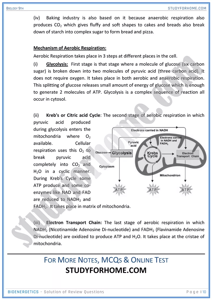 bioenergetics solution of review questions biology 9th 10