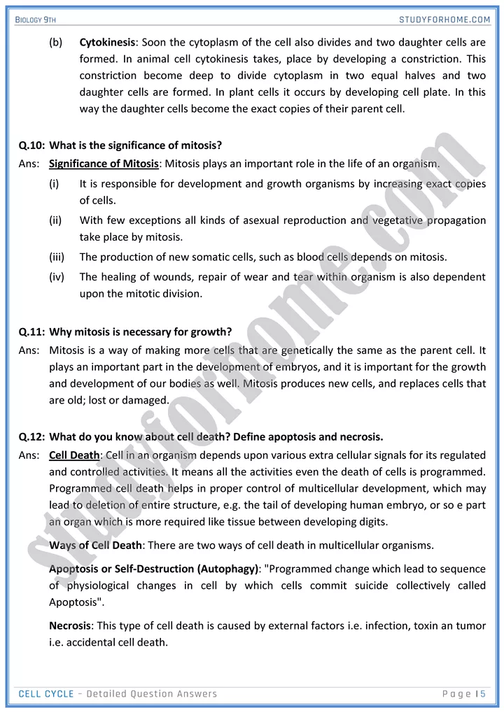 cell cycle detailed question answers biology 9th 05