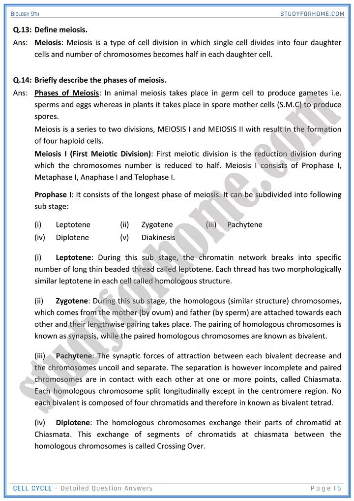 cell cycle detailed question answers biology 9th 06