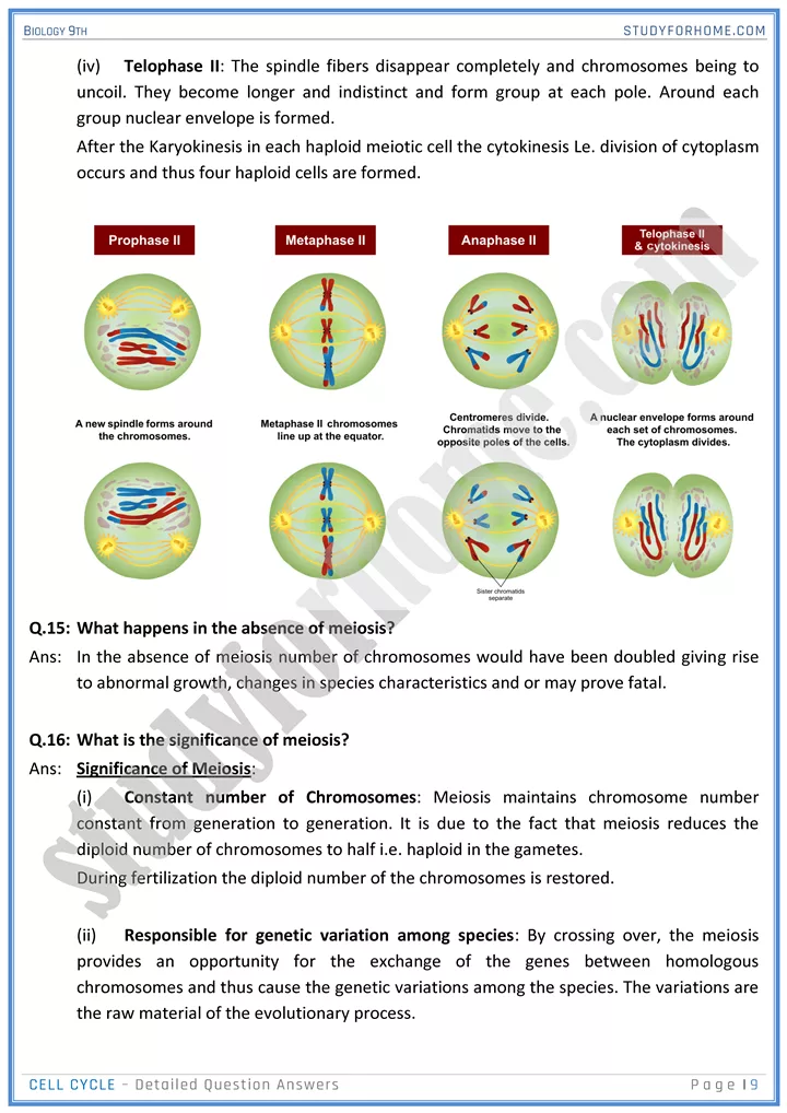 cell cycle detailed question answers biology 9th 09