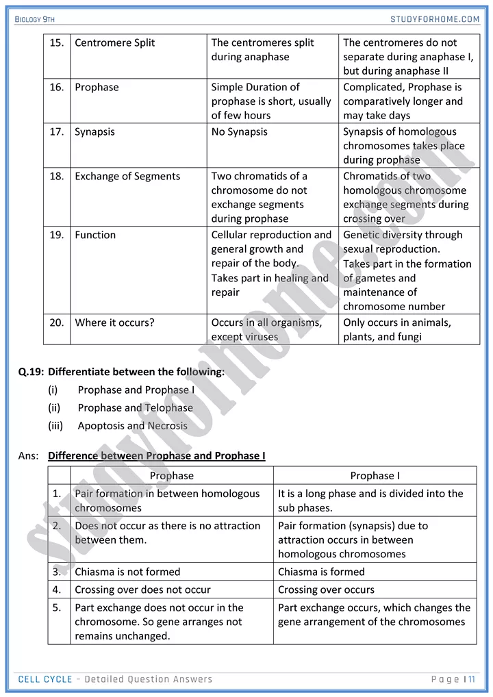 cell cycle detailed question answers biology 9th 11