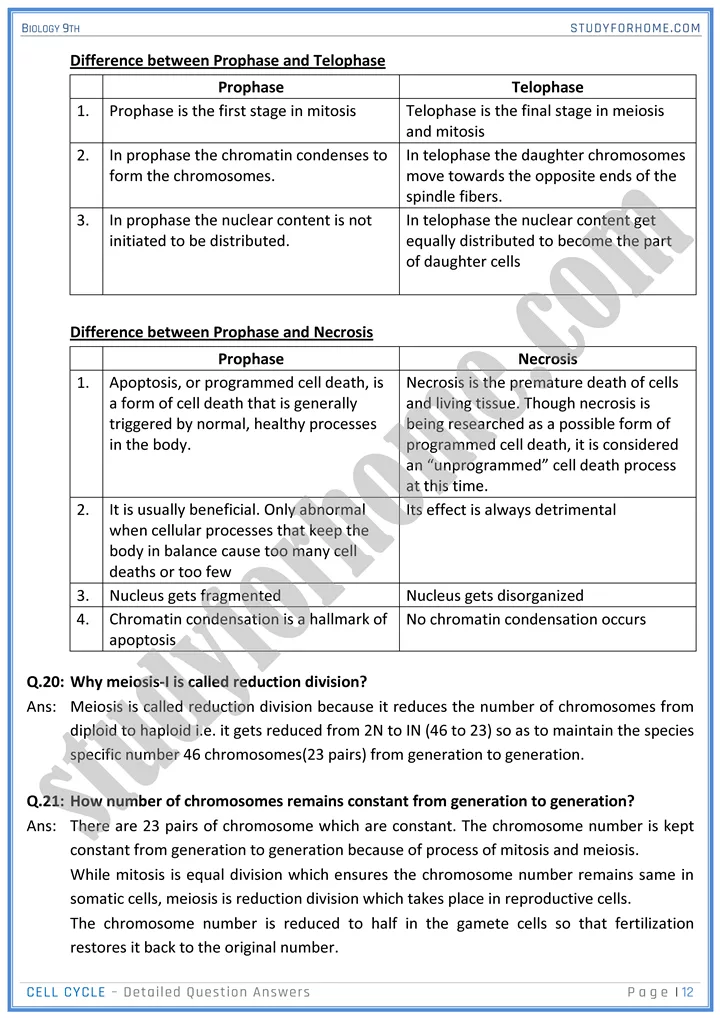 cell cycle detailed question answers biology 9th 12