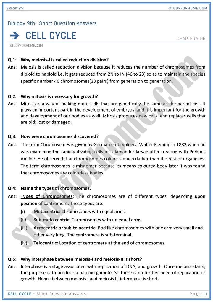 cell cycle short question answers biology 9th 1