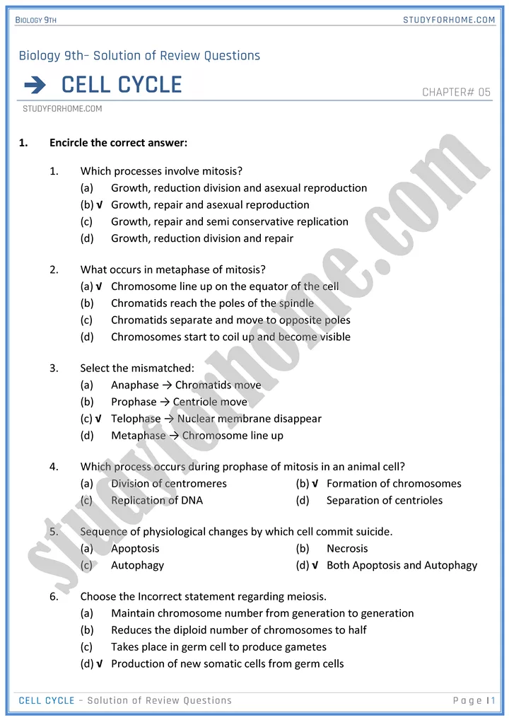 cell cycle solution of review questions biology 9th 01