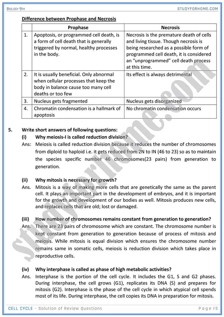 cell cycle solution of review questions biology 9th 05