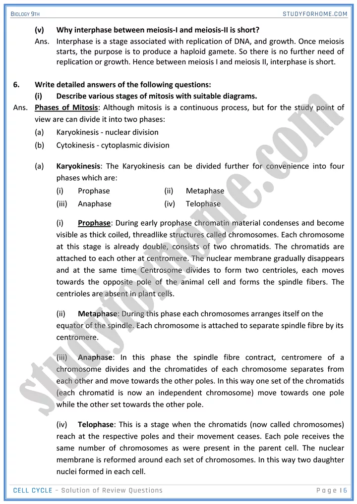 cell cycle solution of review questions biology 9th 06