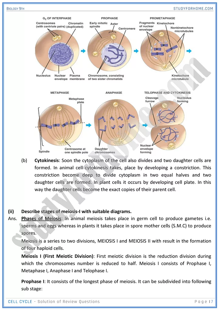 cell cycle solution of review questions biology 9th 07