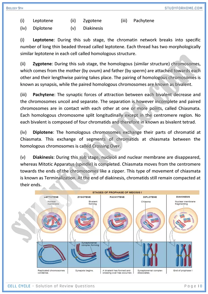 cell cycle solution of review questions biology 9th 08