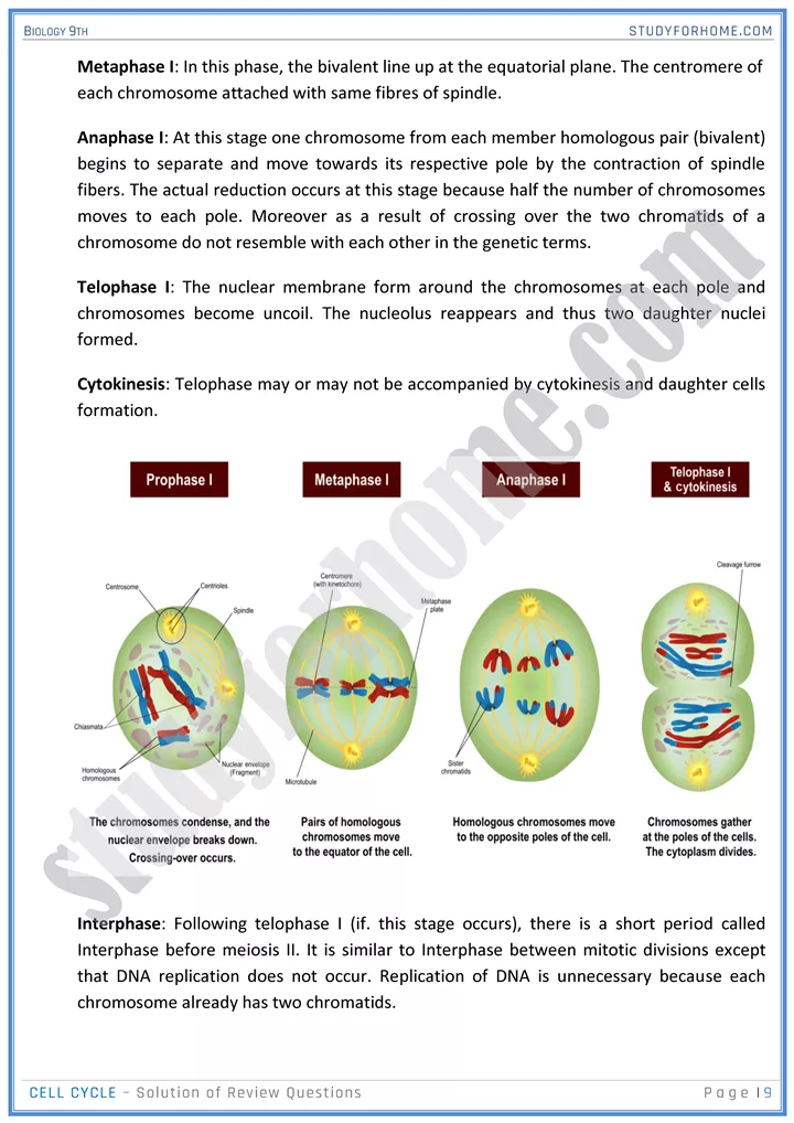 cell cycle solution of review questions biology 9th 09