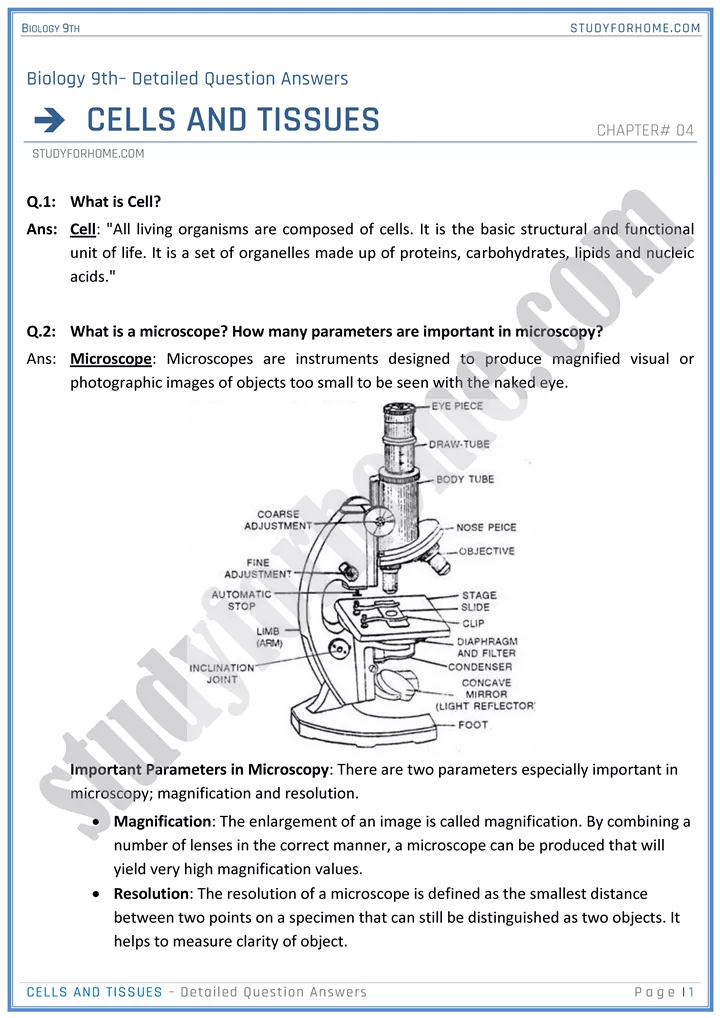 cells and tissues detailed question answers biology 9th 01