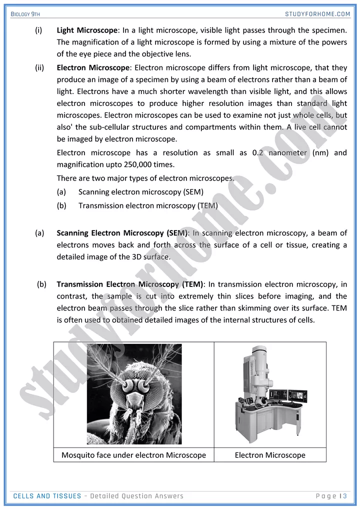 cells and tissues detailed question answers biology 9th 03