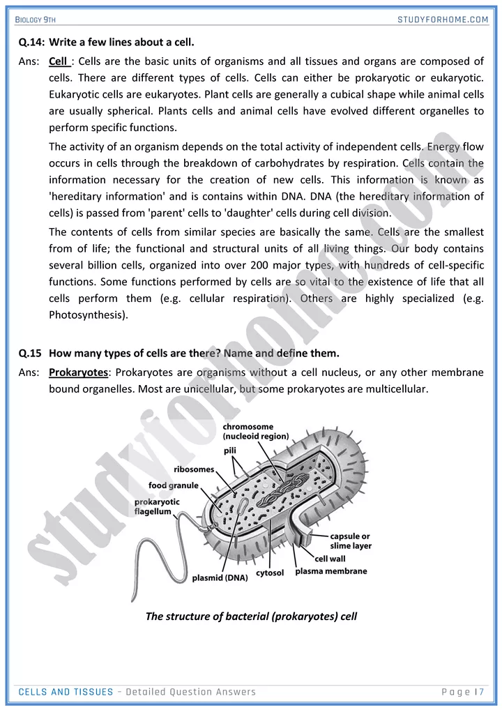 cells and tissues detailed question answers biology 9th 07