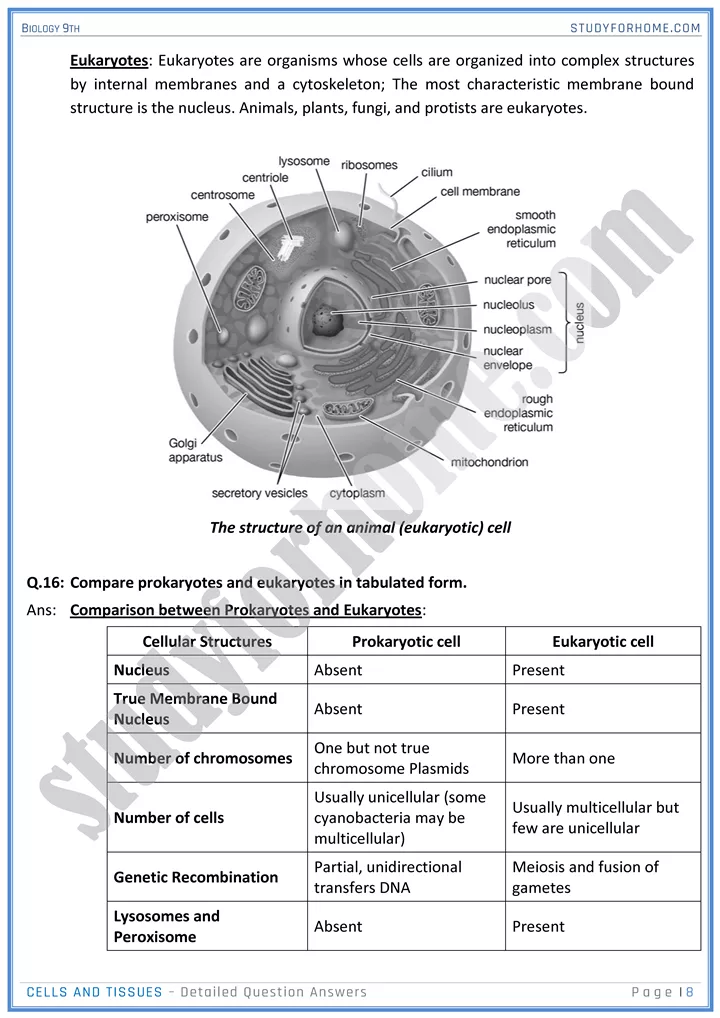 cells and tissues detailed question answers biology 9th 08