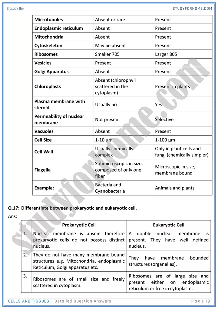 cells and tissues detailed question answers biology 9th 09