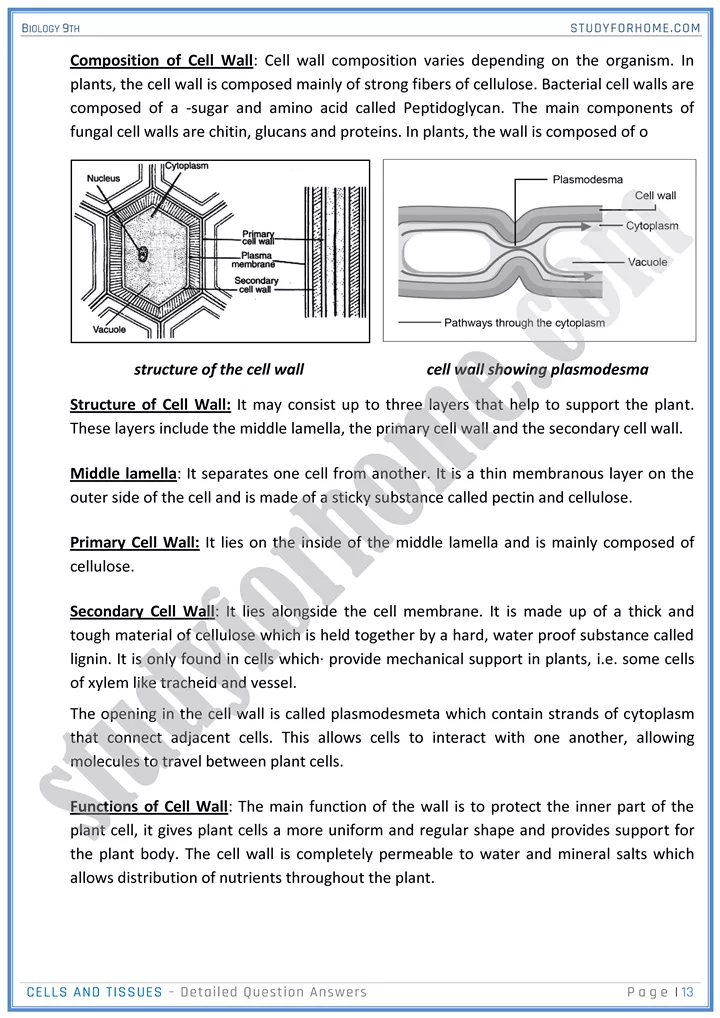 cells and tissues detailed question answers biology 9th 13