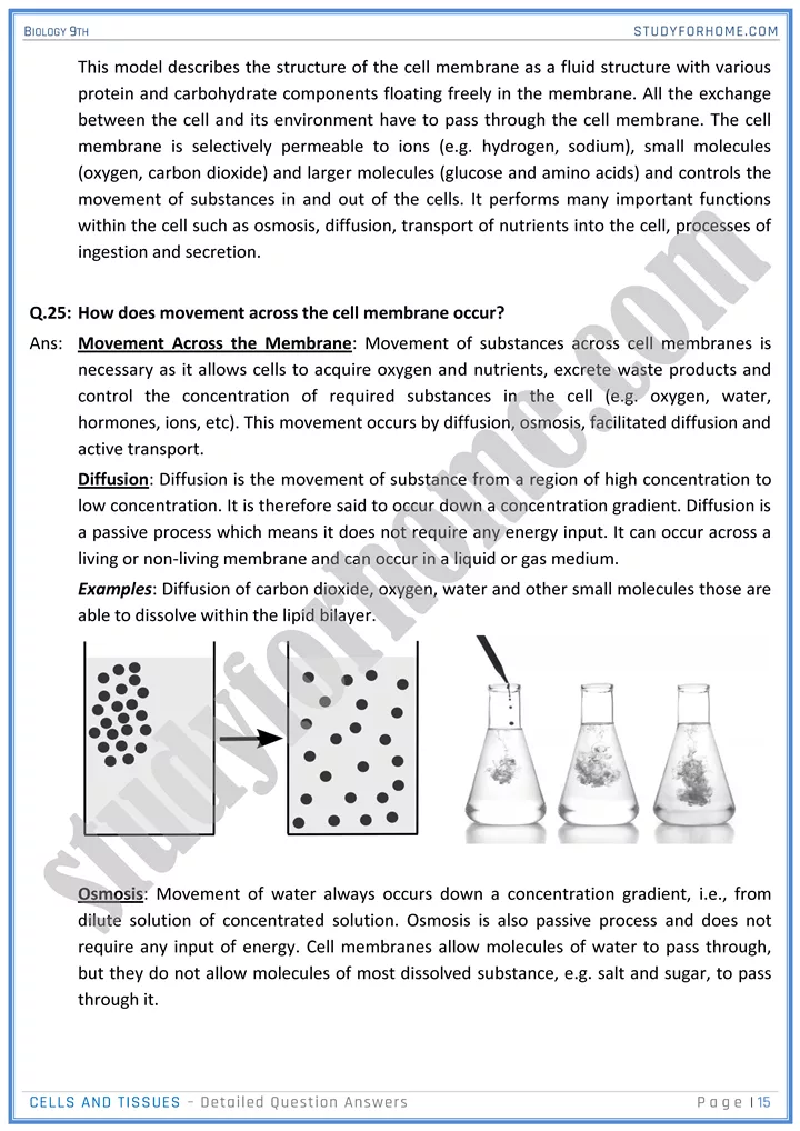 cells and tissues detailed question answers biology 9th 15