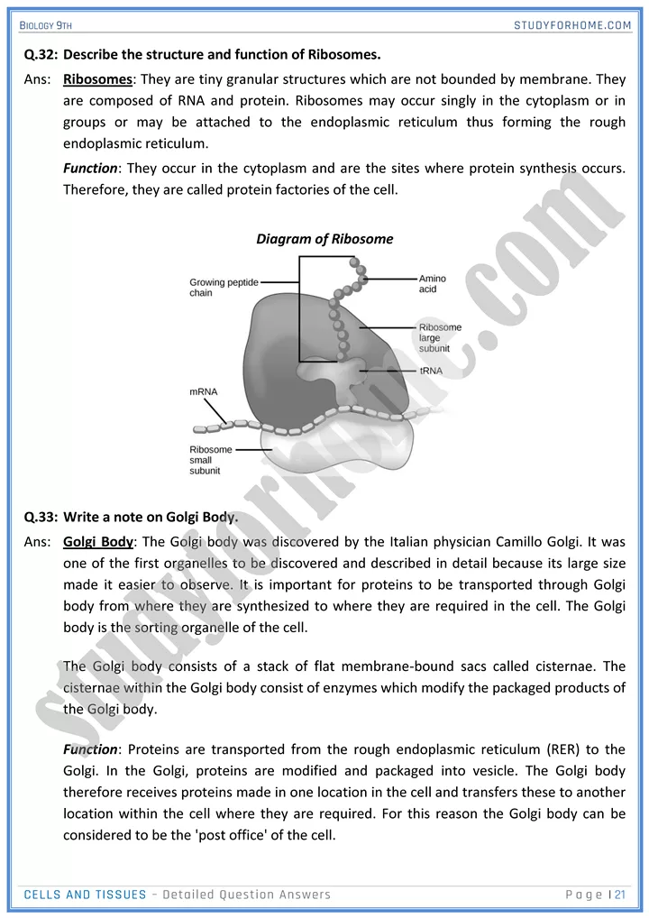 cells and tissues detailed question answers biology 9th 21