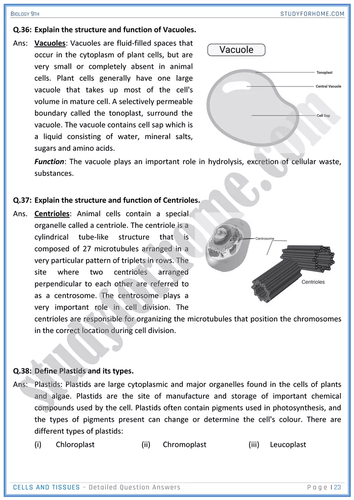 cells and tissues detailed question answers biology 9th 23