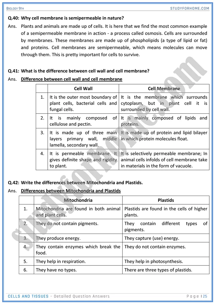 cells and tissues detailed question answers biology 9th 25