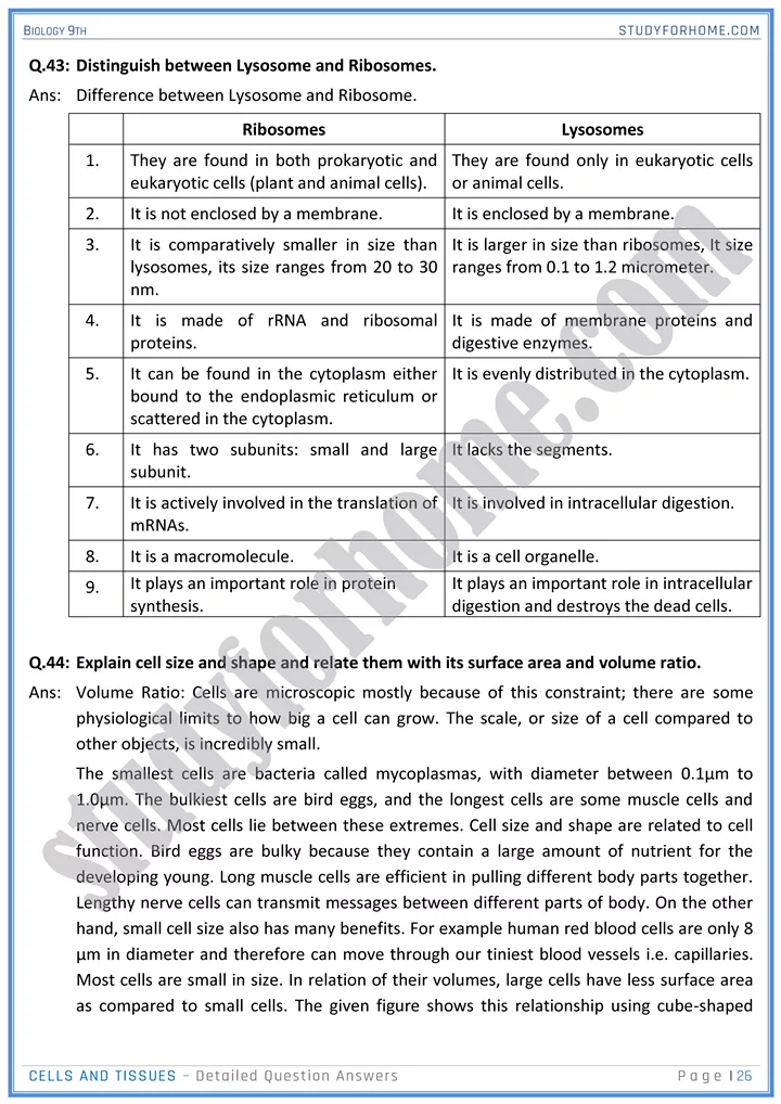 cells and tissues detailed question answers biology 9th 26